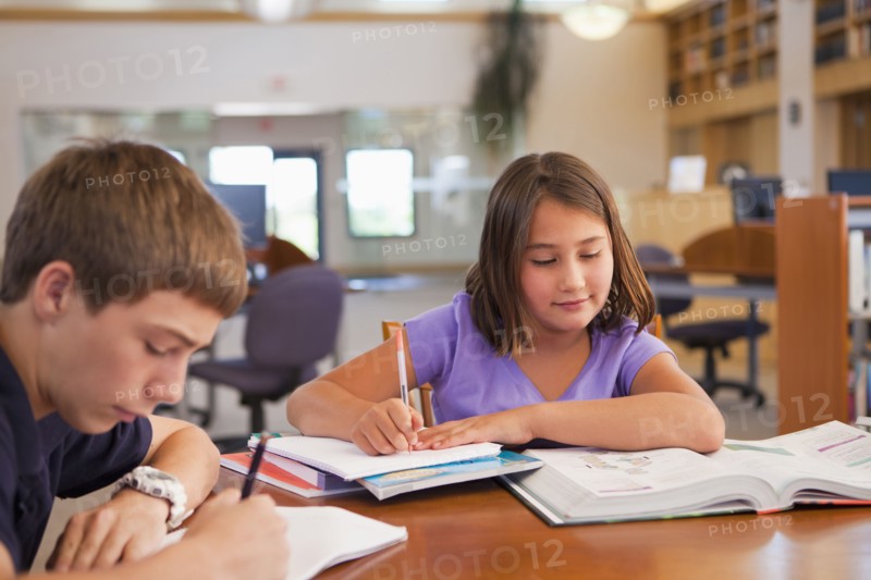 Students studying in library