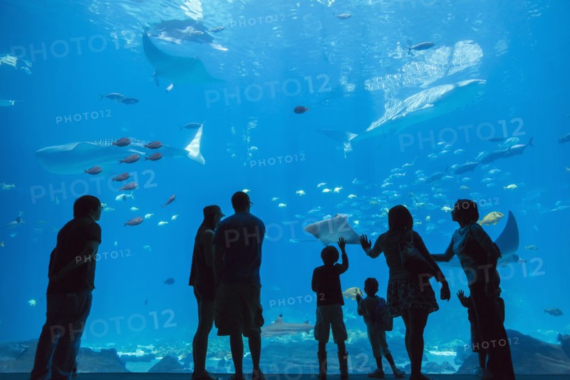 People admiring fish in aquarium