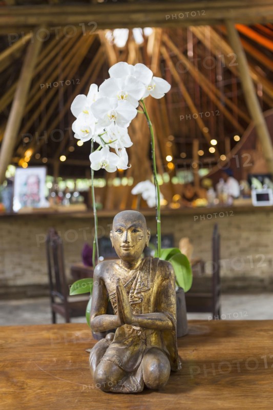 Hindu statue and orchid