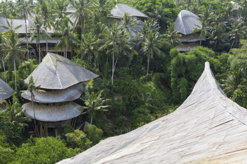 Treehouse rooftops of tropical hotel