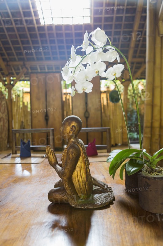 Flowers and statue in Hindu temple