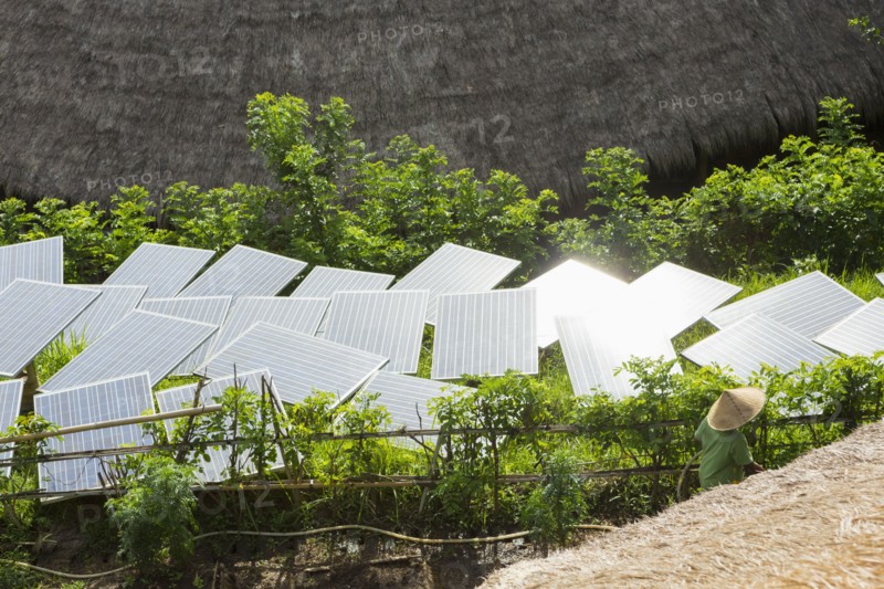 Solar panels in tropical garden