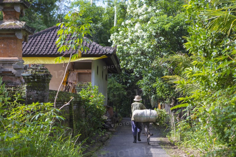 Man pushing bicycle on tropical path