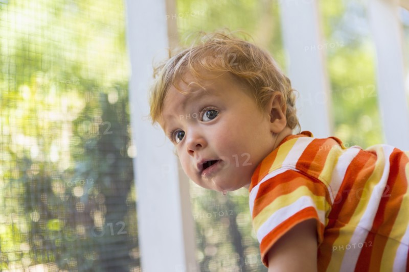 Caucasian toddler peering out screen fence