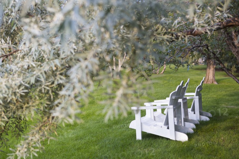 White adirondack chairs under tree
