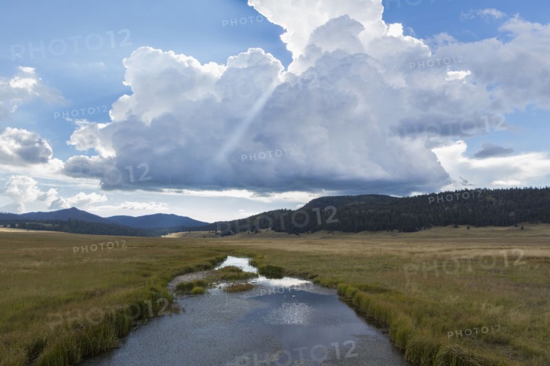 Still river and grassy field in remote landscape
