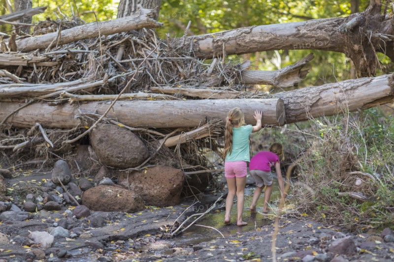 Caucasian girls exploring creek in forest