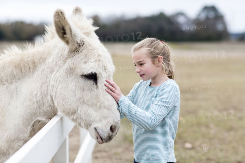 Caucasian girl petting donkey in field