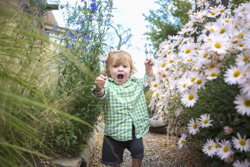 Caucasian baby boy walking in garden