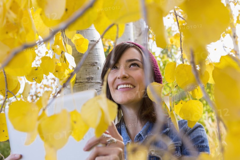 Hispanic woman writing in tree