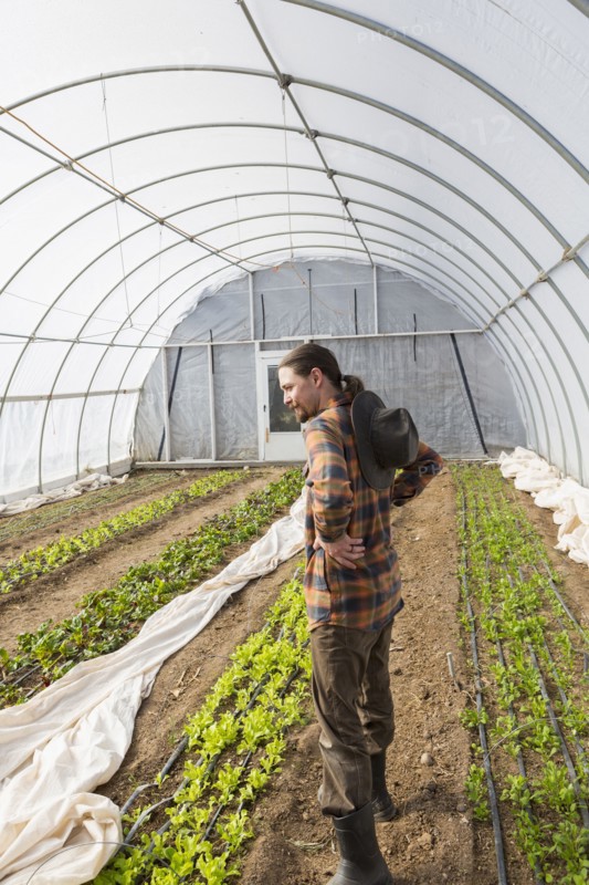 Caucasian farmer standing in greenhouse