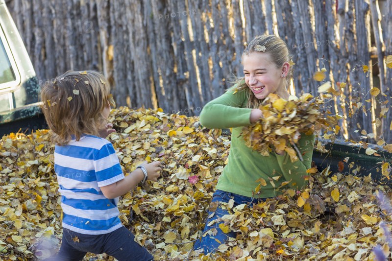Caucasian brother and sister throwing autumn leaves