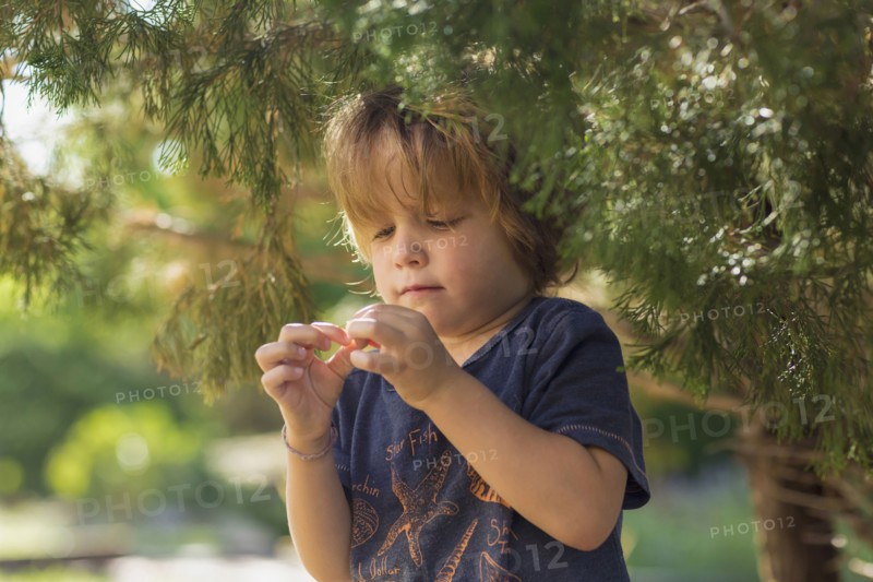 Caucasian boy examining berry from tree