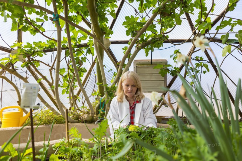 Caucasian scientist using digital tablet in greenhouse
