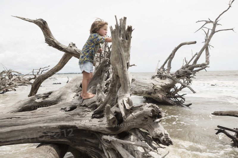 Caucasian boy climbing on driftwood on beach