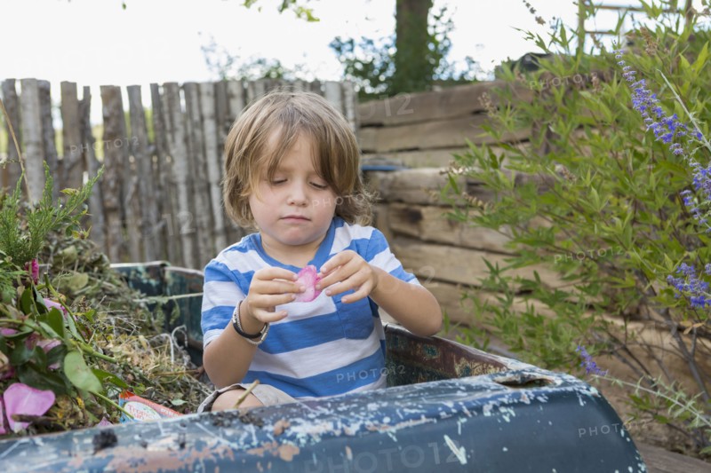 Caucasian boy sitting in truck playing with flower petal