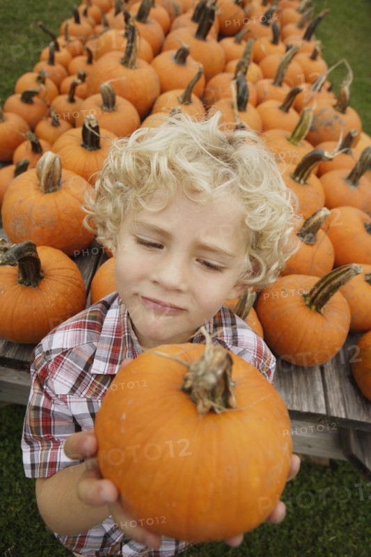 Portrait of boy holding pumpkin