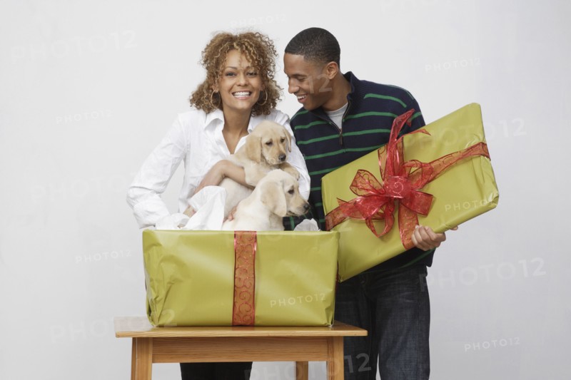 African couple taking puppies out of gift box