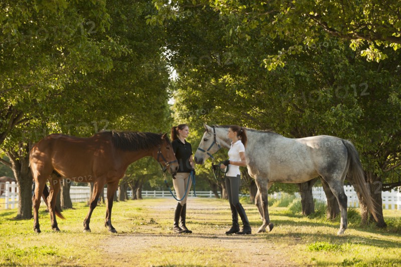 Caucasian girls walking horses on dirt path