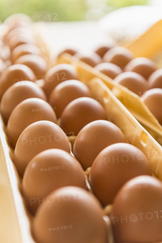 Close up of cartons of eggs