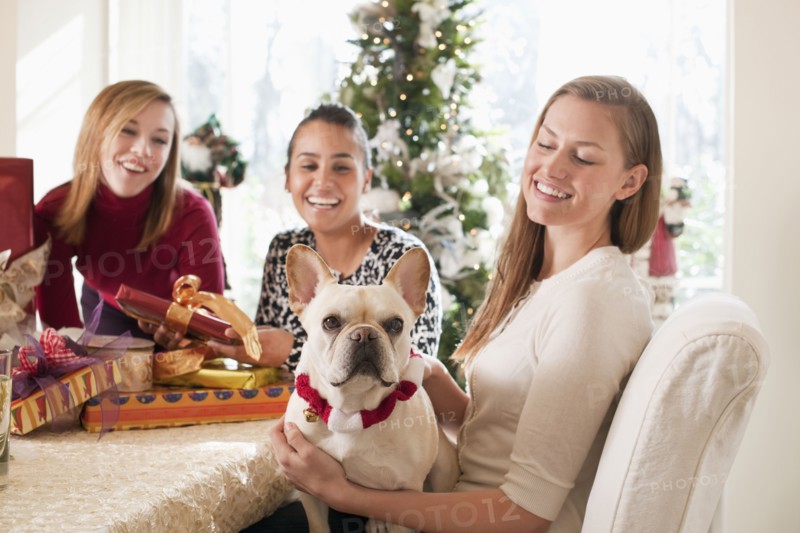Friends and dog celebrating Christmas