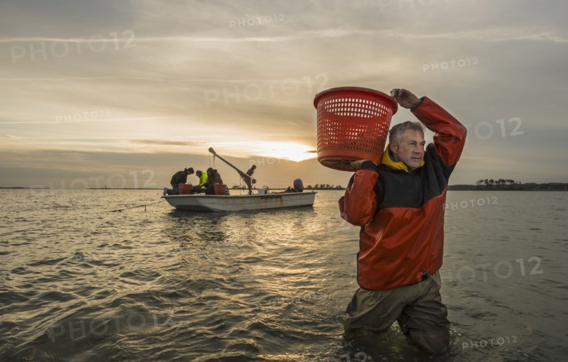 Caucasian fisherman carrying basket in water