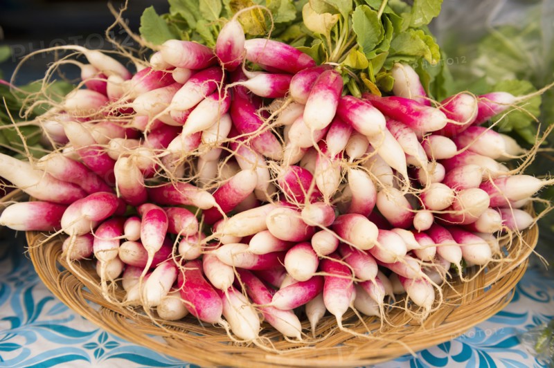 Close up of bunches of radishes