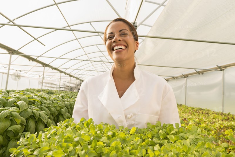 Black chef standing in greenhouse holding tray of plants