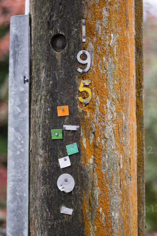 Metal numbers nailed to pole