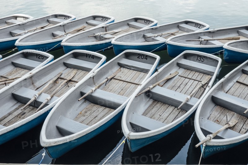High angle view of rowboats docked in harbor