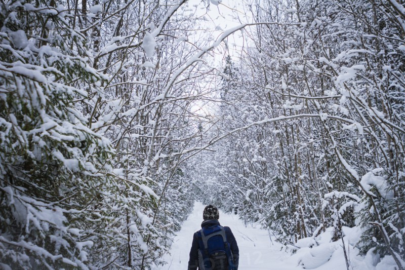 Caucasian hiker walking in snowy forest
