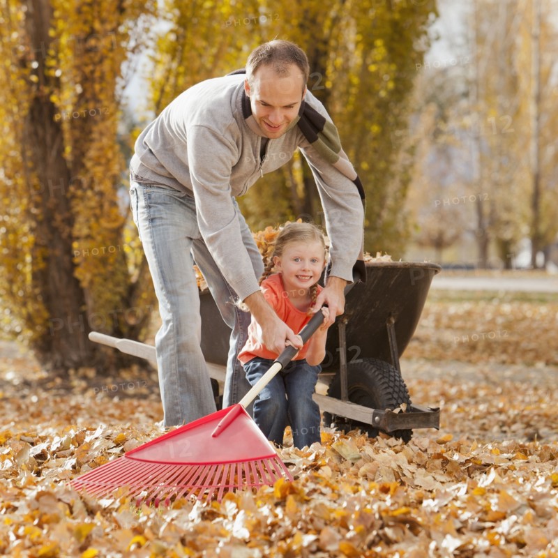 Caucasian father and daughter raking autumn leaves