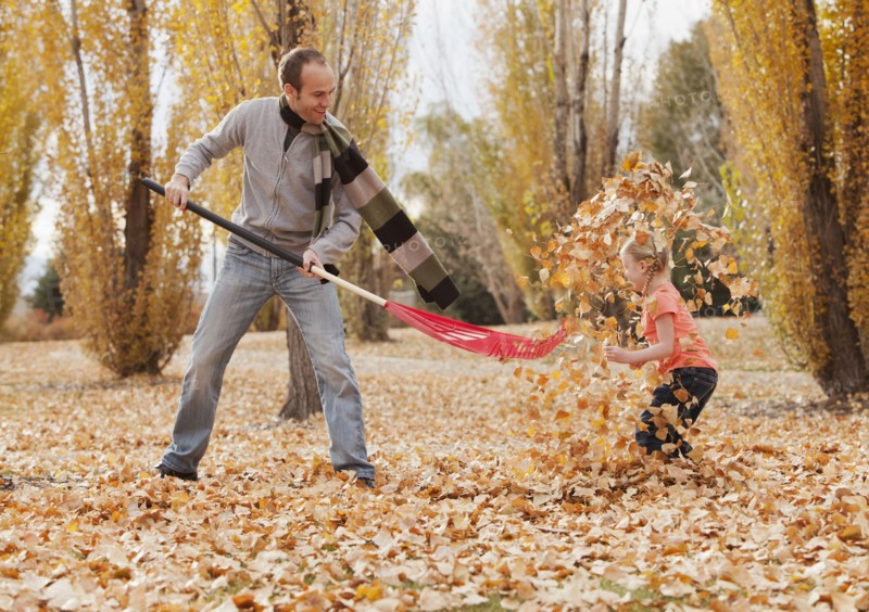 Caucasian father and daughter raking autumn leaves