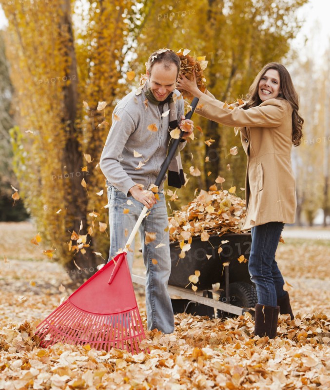 Caucasian couple raking autumn leaves