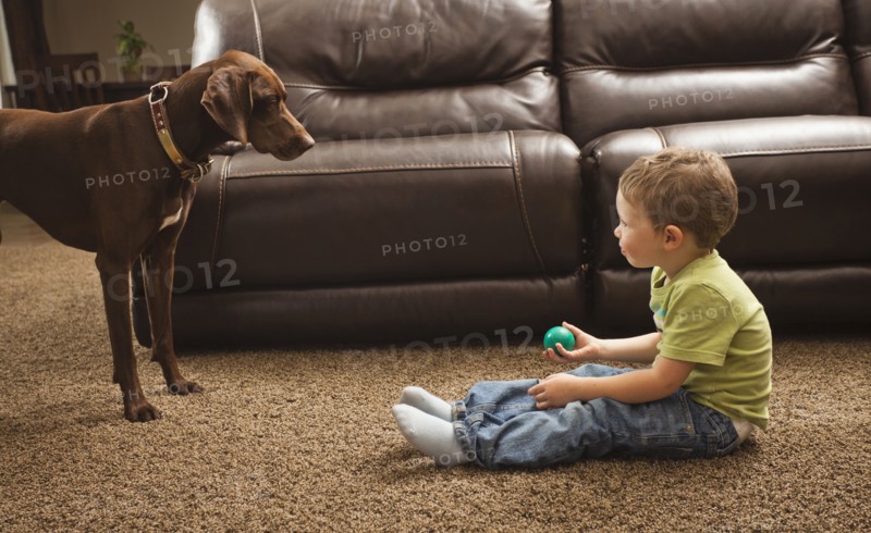 Caucasian boy playing ball with dog