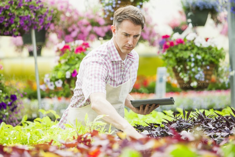 Caucasian man working in plant nursery