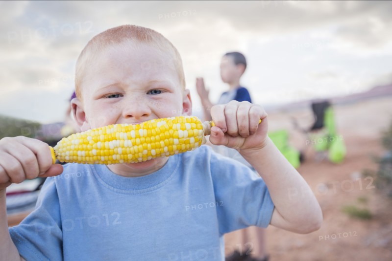 Caucasian boy eating corn on the cob