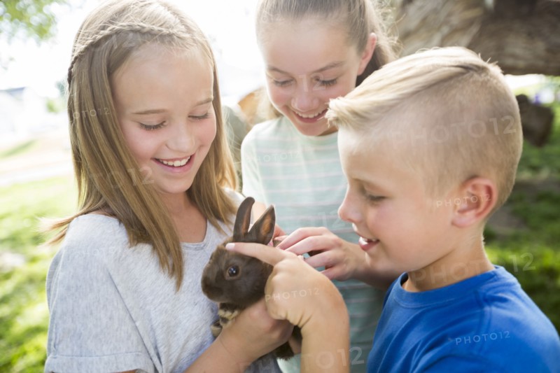 Caucasian boy and girls petting rabbit