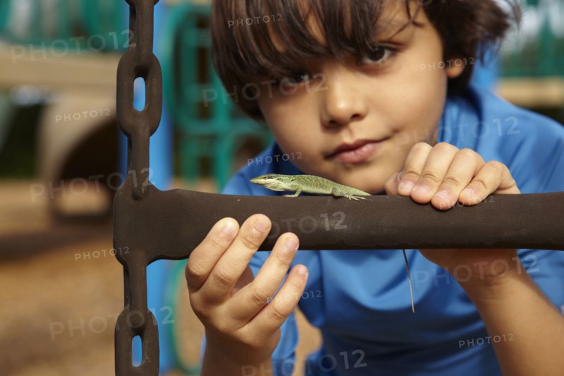 Mixed race boy looking at lizard