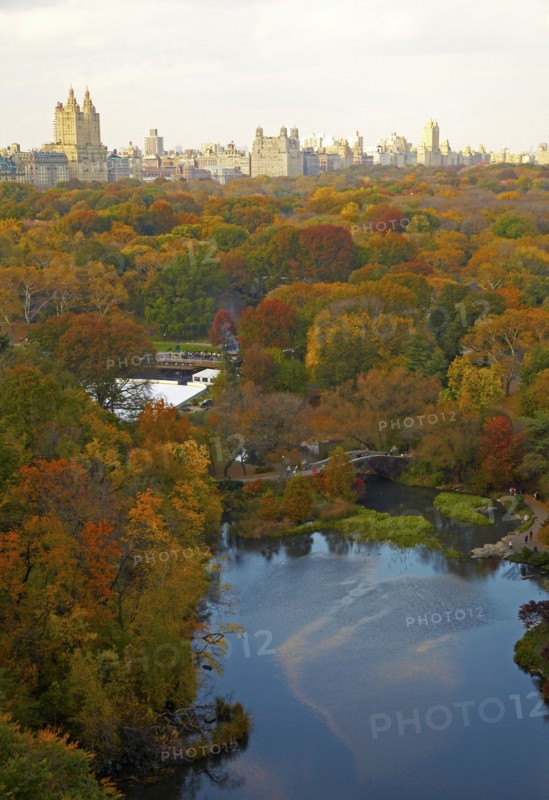 Aerial view of urban park