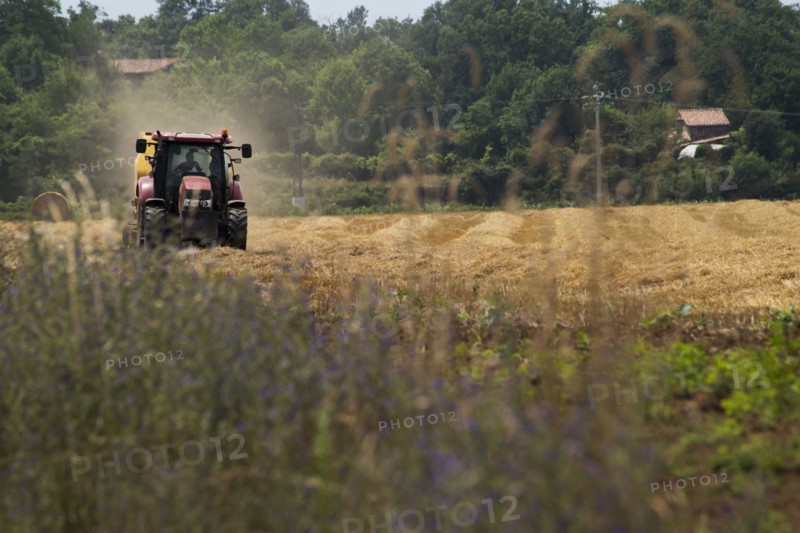 Tractor in field