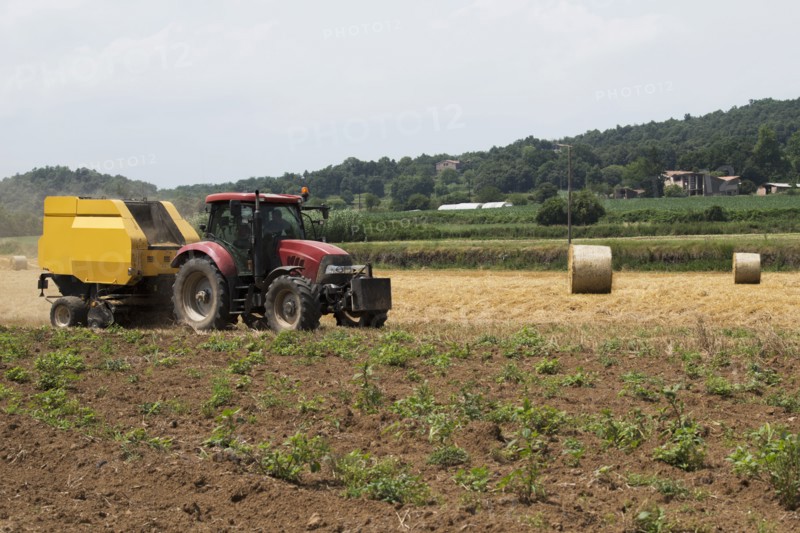 Tractor in field