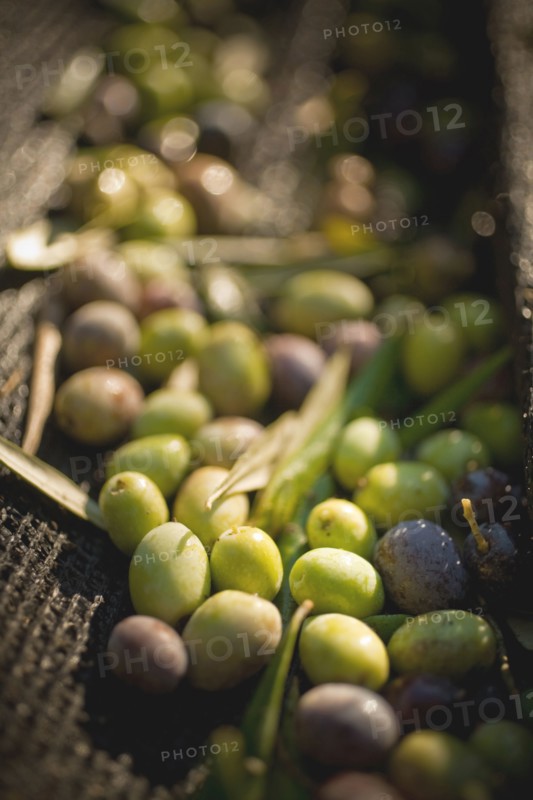 Green and black olives in basket