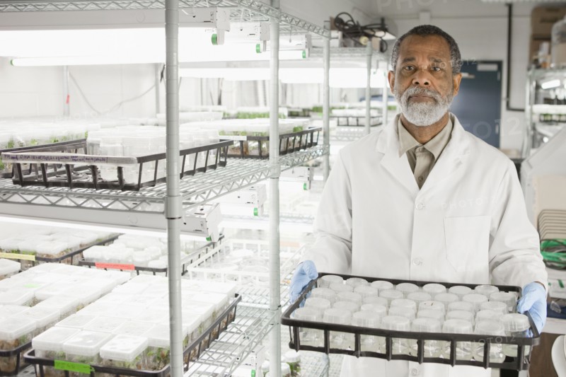 African American scientist working in laboratory