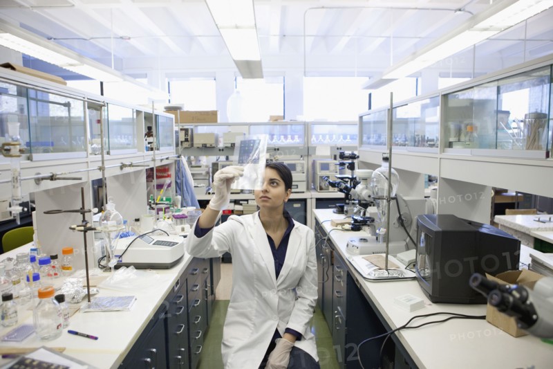 Indian scientist working in laboratory