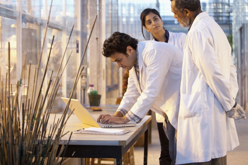 Scientists working in laboratory