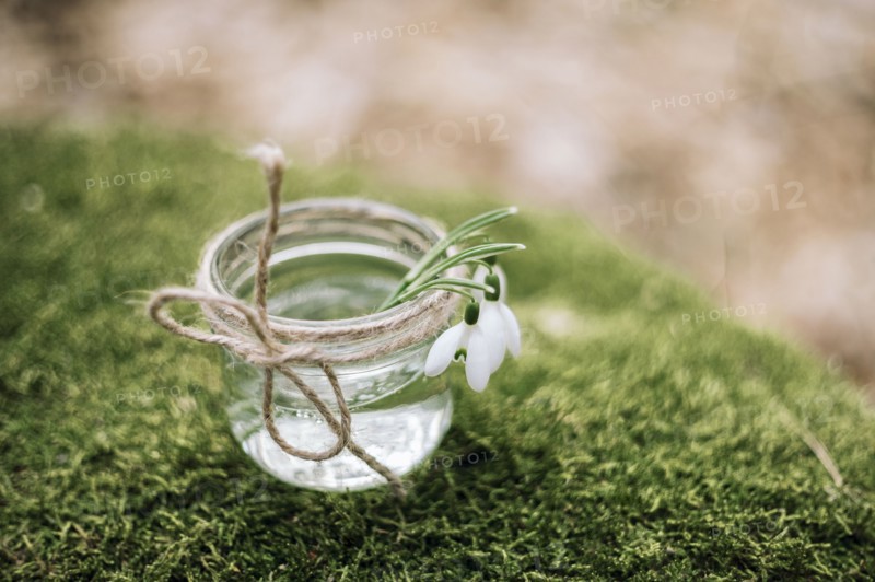 Close up of flowers in jar on moss