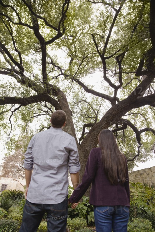 Couple holding hands and looking at tree