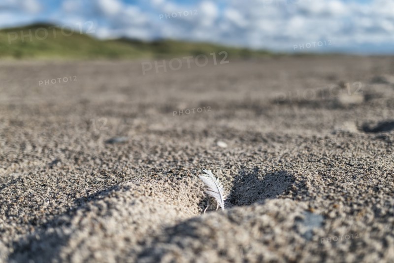 Feather in hole on beach