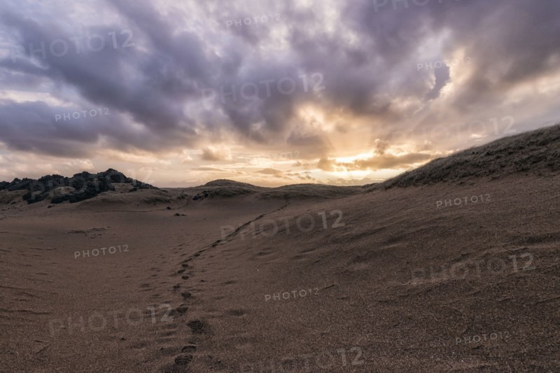 Footprints in sand at sunset